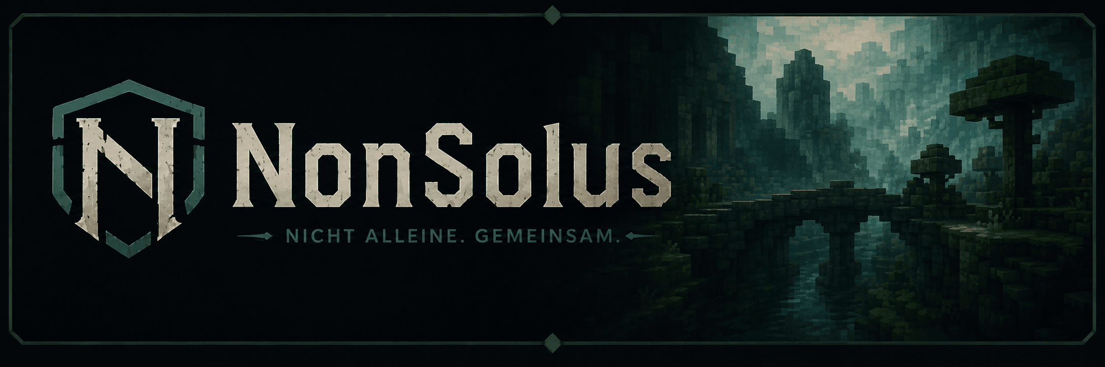 NonSolus banner